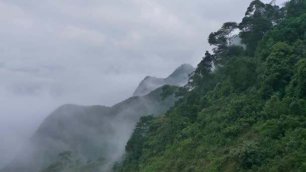 Mountains Giang Province Vietnam — Stock Video