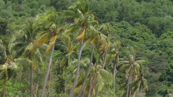 Emberek Pihenés Sao Beach Legszebb Strand Phu Quoc Sziget Vietnam — Stock videók