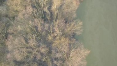 Nehir ormanı yukarıdan görünüyor.