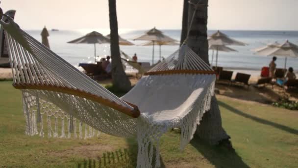 Stranden Hammock Hon Thom Vietnam — Stockvideo