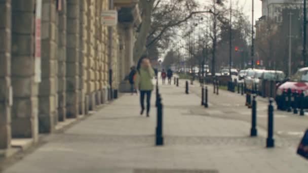 유럽의 도시에 알아보기 사람들 — 비디오