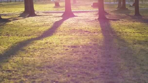 Ochtendzon Schijnt Een Leeg Park Lege Stad Tijdens Quarantaine — Stockvideo