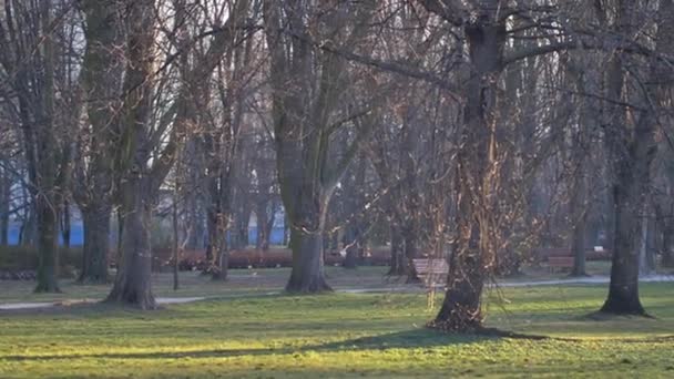 Le soleil du matin brille dans un parc vide. Ville vide pendant la quarantaine .