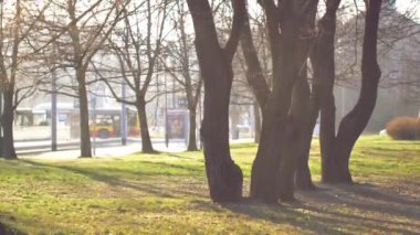 Boş parkta güneş doğuyor. Karantina sırasında boş şehir.