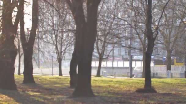 Die Morgensonne Scheint Leeren Park Leere Stadt Während Der Quarantäne — Stockvideo