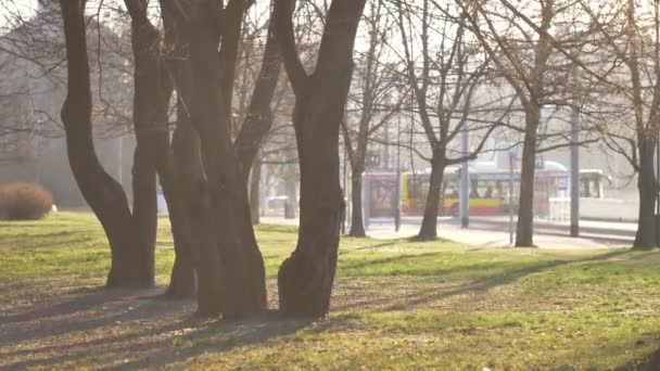 Poranne Promienie Słońca Pustym Parku Puste Miasto Podczas Kwarantanny — Wideo stockowe