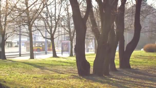 Ochtendzon Schijnt Een Leeg Park Lege Stad Tijdens Quarantaine — Stockvideo