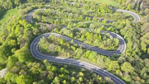 Estrada Curvilínea Paisagem Primavera — Vídeo de Stock