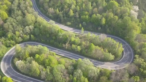 Estrada Curvilínea Paisagem Primavera — Vídeo de Stock