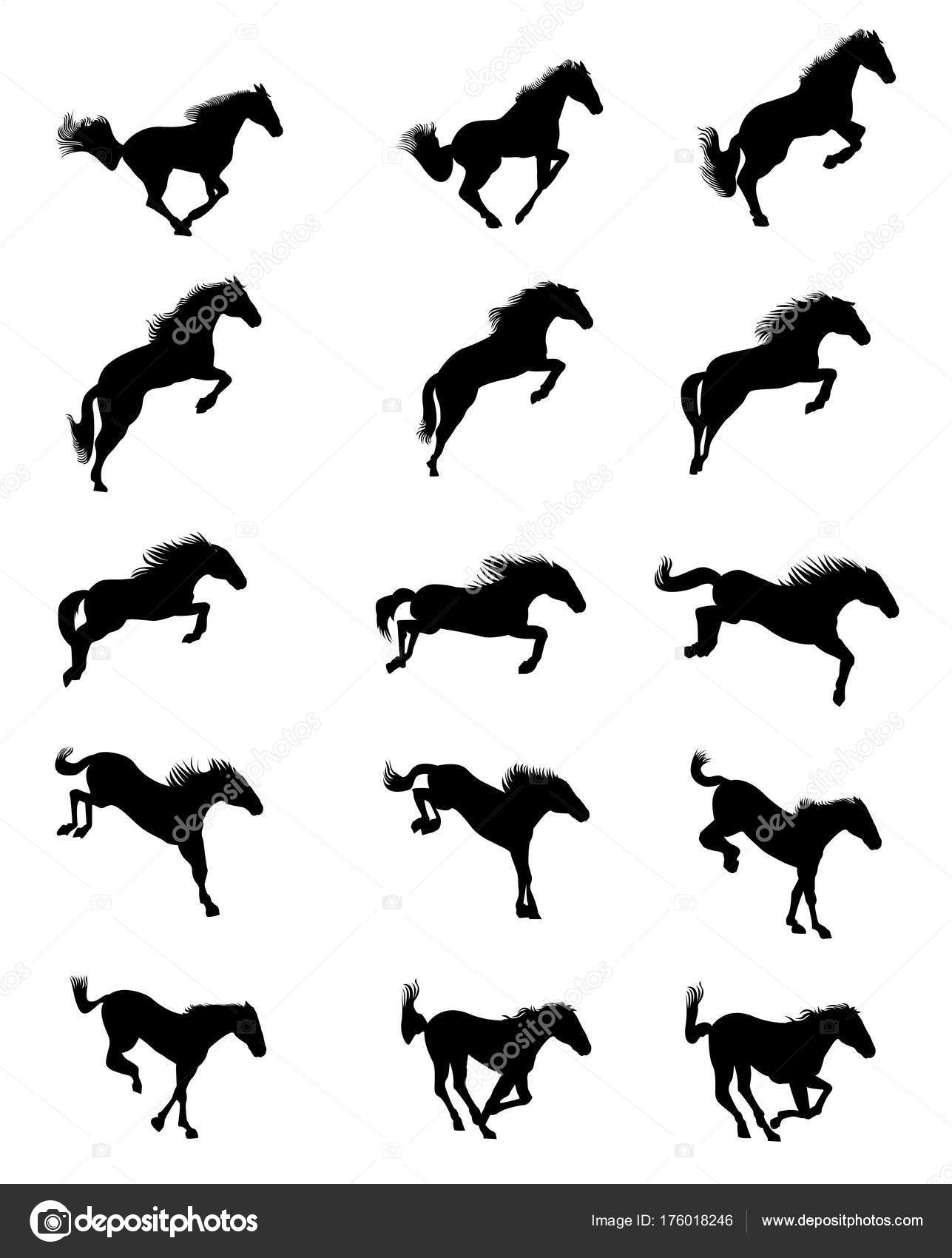 Cavalo pulando Fotos de Stock, Cavalo pulando Imagens sem royalties