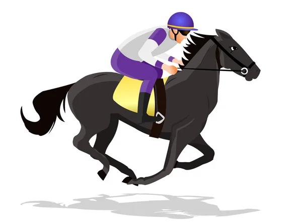 Vektorová Ilustrace Horse Rider — Stockový vektor