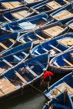 Essaouira limanında mavi botlar