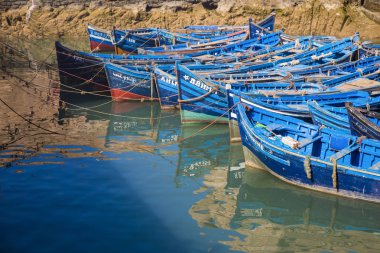 Essaouira limanında mavi botlar