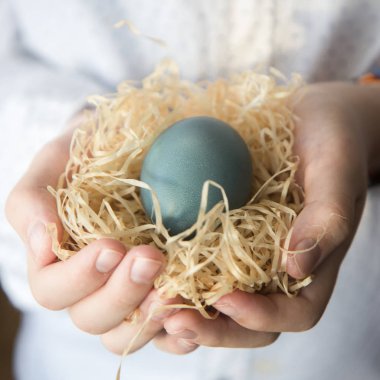 Ahşap masa mavi bir yumurta yuva