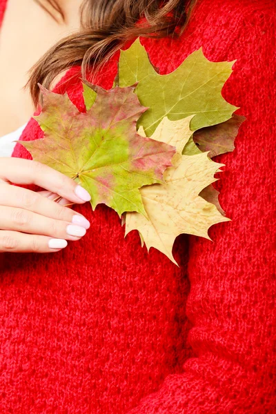 Autumnal girl with maple leaves in hand — Stock Photo, Image