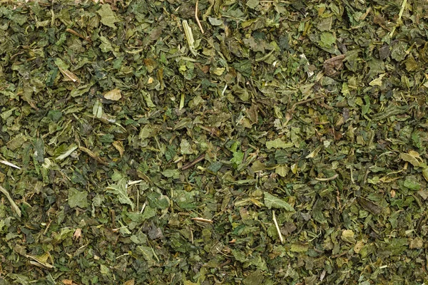 Gıda arka plan bitki çayı ısırgan yaprakları kurutulur