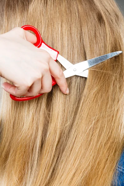 Rote Schere auf blondem Haar. Nahaufnahme. — Stockfoto