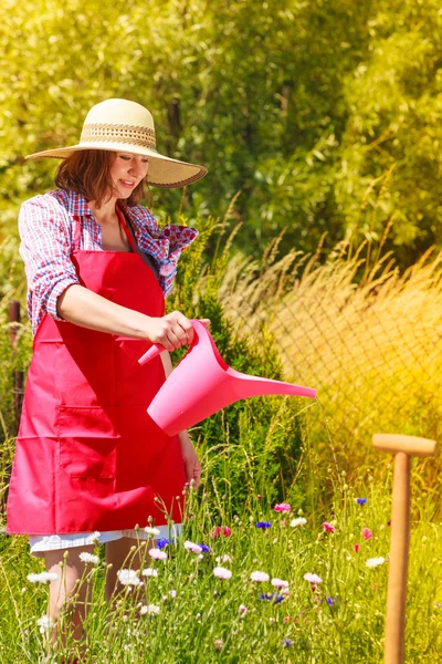 Mujer regando plantas en el jardín —  Fotos de Stock