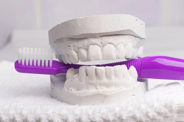 Cepillo de dientes violeta con yeso dental — Foto de Stock