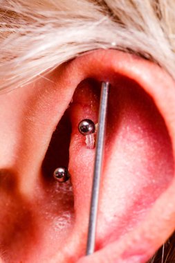 Pierced man ear, black plug tunnel, industrial and rook clipart