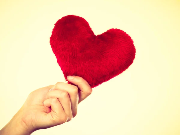 Person som innehar små lurviga hjärta, valentine gåva — Stockfoto