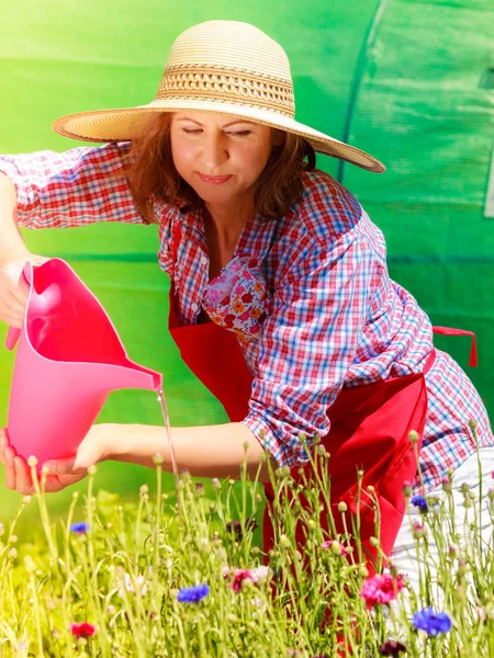 Mujer regando flores en el jardín — Foto de Stock