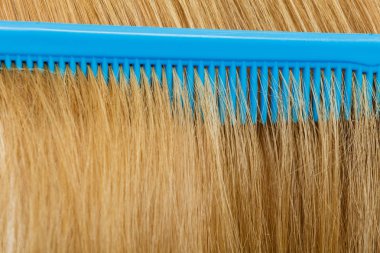 Sarı saçlı mavi tarak, yakın çekim.