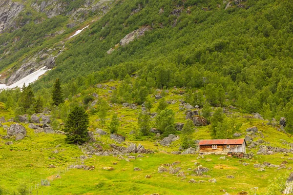 Stary drewniany w lesie Norwegia — Zdjęcie stockowe