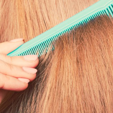 Kızıl saçlı yeşil tarak, yakın çekim.