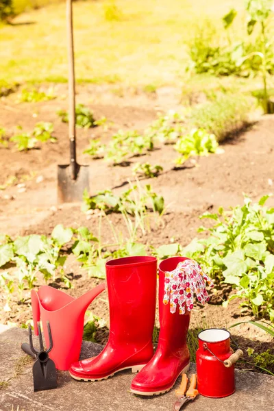 Ferramentas de jardinagem ao ar livre no jardim — Fotografia de Stock