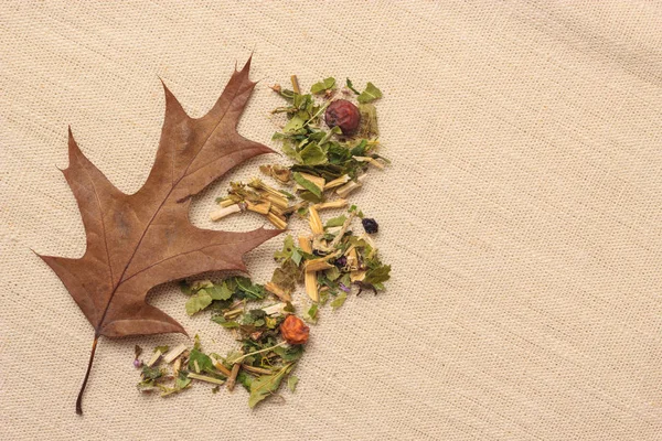 Foglie di erbe secche e foglie di quercia autunnale — Foto Stock