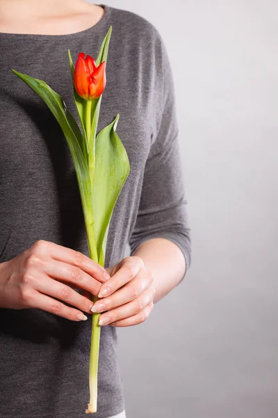 Weibchen mit roter Blume. — Stockfoto