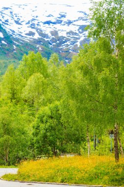 Dağlar yaz manzara Norveç'te.