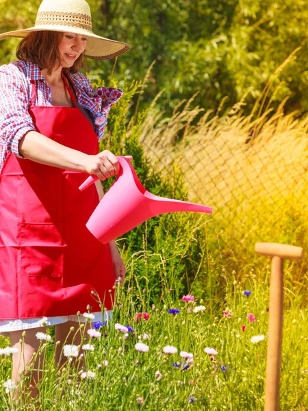 Mujer regando plantas en el jardín — Foto de Stock