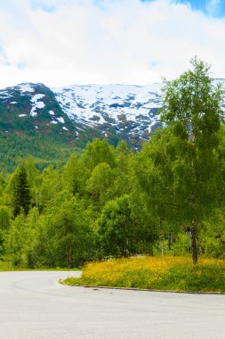 Dağlar yaz manzara Norveç'te.