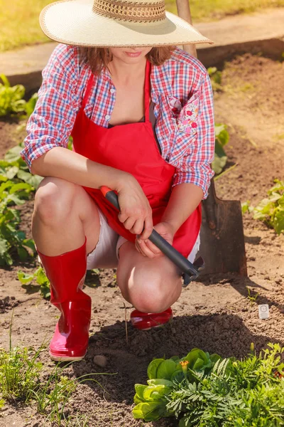 woman with gardening tool working in garden