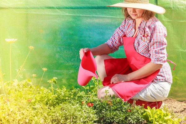 Perempuan menyiram tanaman di kebun — Stok Foto