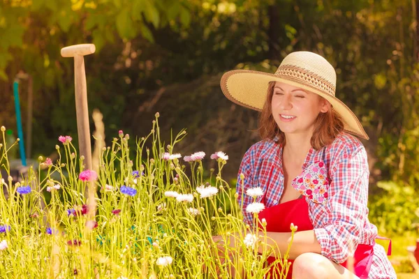 Mujer madura jardinería en su patio trasero — Foto de Stock