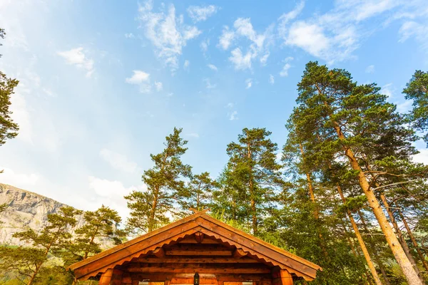 Casa norueguesa com telhado de grama — Fotografia de Stock
