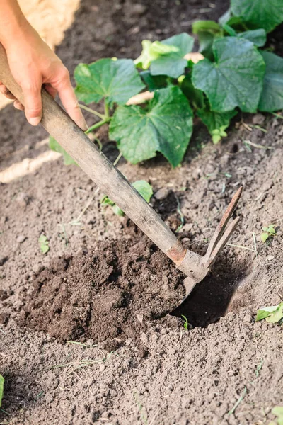 Fechar mulher jardineiro cavando solo — Fotografia de Stock