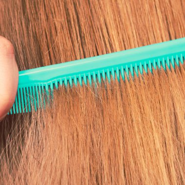 Kızıl saçlı yeşil tarak, yakın çekim.