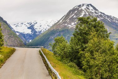 Yol manzara Norveç dağlarında