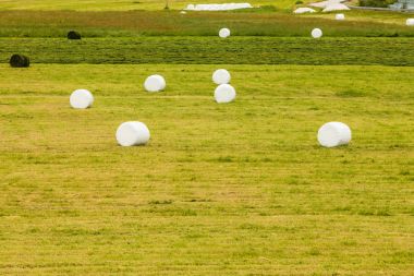 Balya saman plastik folyo sarılmış