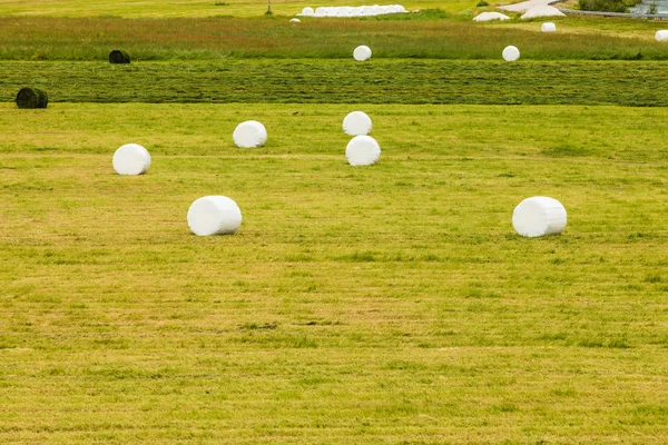 Bale de heno envuelto en papel de plástico —  Fotos de Stock