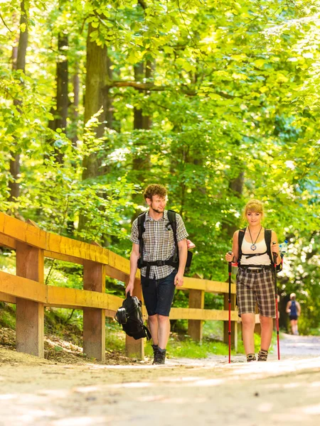 几个背包徒步旅行在森林通路 — 图库照片