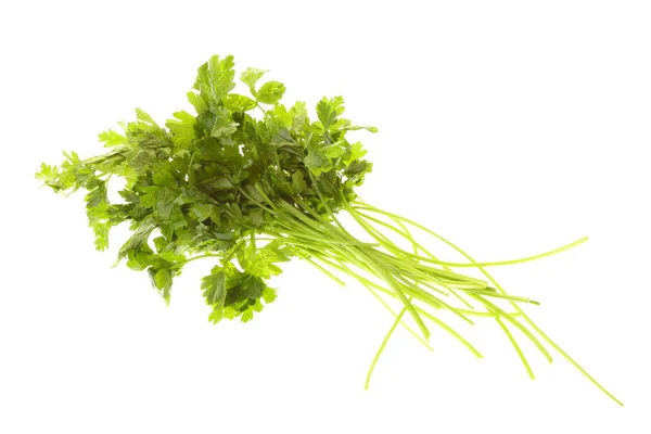 Twig of parsley isolated — Stock Photo, Image