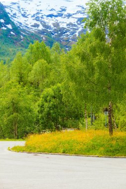 Dağlar yaz manzara Norveç'te.