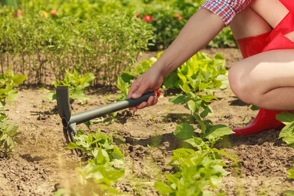 Wanita dengan alat berkebun bekerja di kebun — Stok Foto