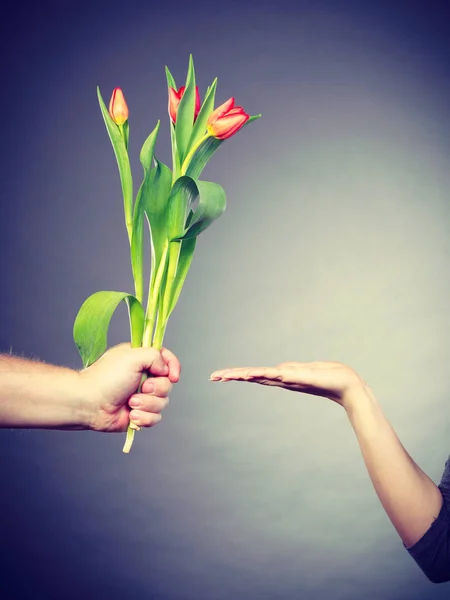 Ręka z tulip i palm Wyświetlono miejsce. — Zdjęcie stockowe