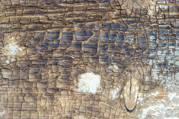 Kahverengi grunge duvar taş arka plan veya doku kaya — Stok fotoğraf